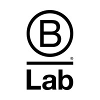 B Lab is hiring for remote Junior Data Engineer (Philadelphia, PA)