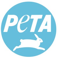 PETA Asia is hiring for remote Video Editor and Graphic Designer