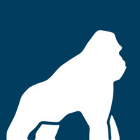 Health Gorilla, Inc. is hiring for remote Compliance Analyst