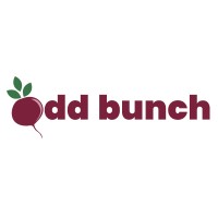Odd Bunch is hiring for remote Executive Assistant to the CEO