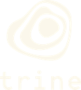 Trine is hiring for remote Lead Developer