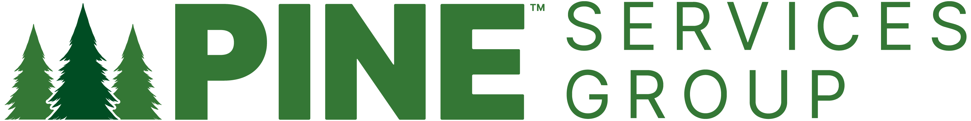 Pine Services Group is hiring for remote Sage Intacct Implementation Consultant