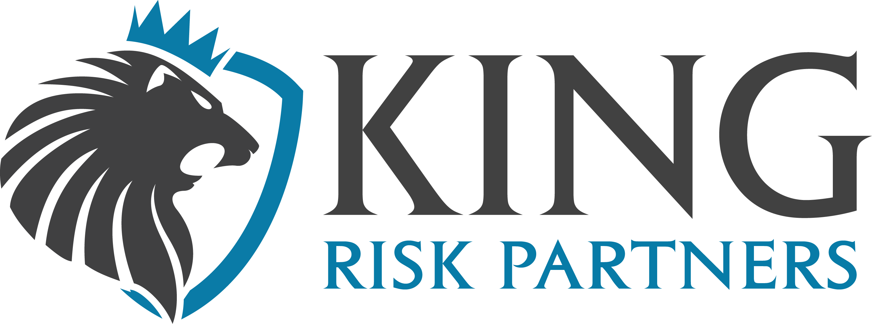 King Risk Partners, LLC is hiring for remote Insurance Producer / Client Advisor