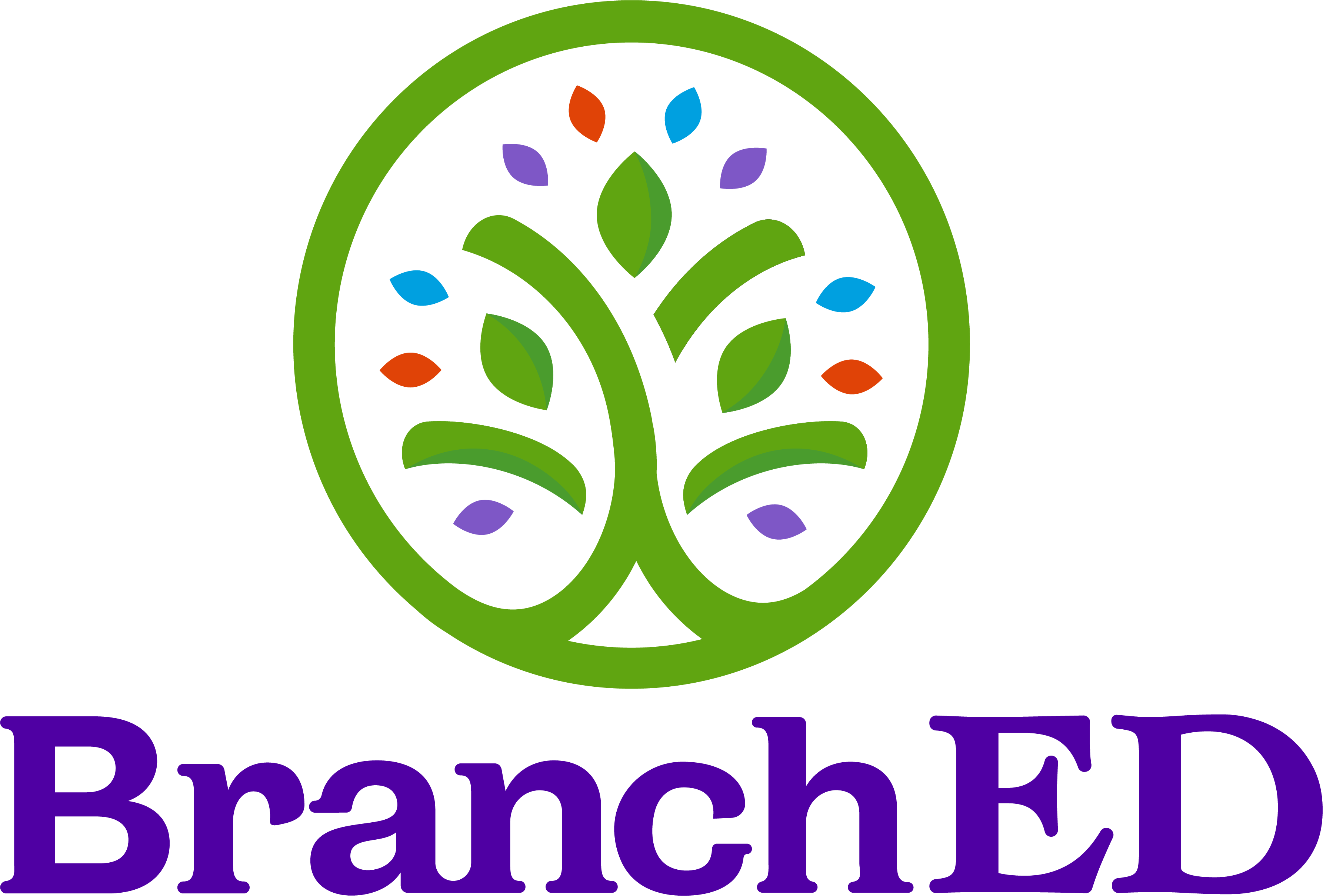 BranchED is hiring for remote Associate Vice President of Finance & Accounting