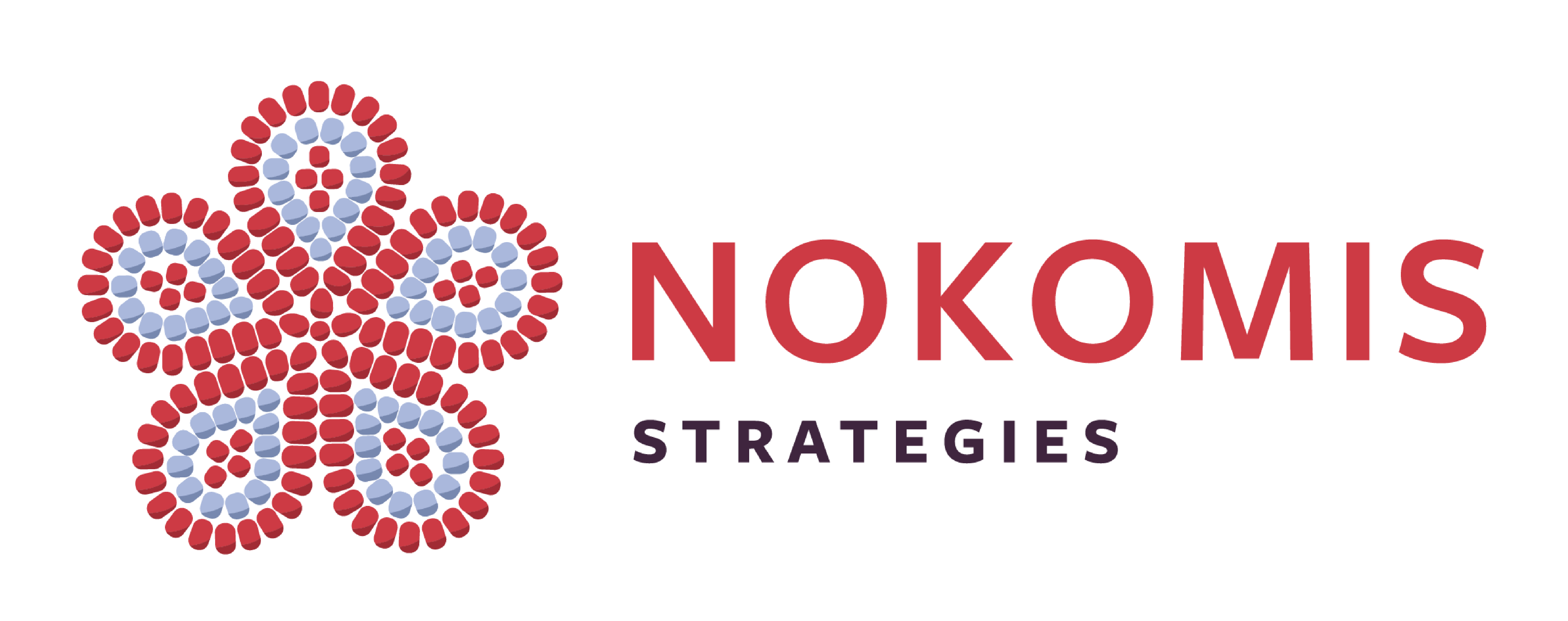 Nokomis Strategies is hiring for remote Capacity Builder I, II, III