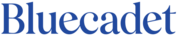 Bluecadet is hiring for remote Dream Job