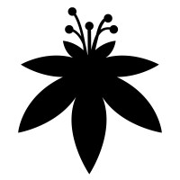 The Flowery is hiring for remote Senior Full-Stack Engineer