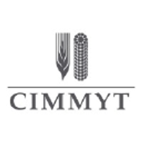 CIMMYT logo