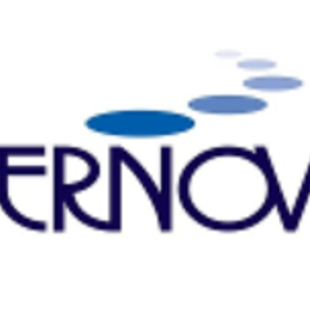 Vernovis is hiring for work from home roles