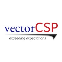 Vector CSP LLC is hiring for remote Chief Financial Officer