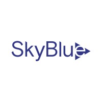 SkyBlue Media is hiring for remote Sales and Brand Partnerships - Films, OTT & TV_South Korea