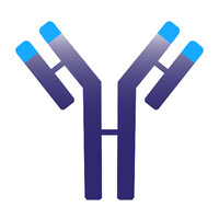 IMVT Corporation is hiring for remote Associate Director, Regulatory Affairs Strategy