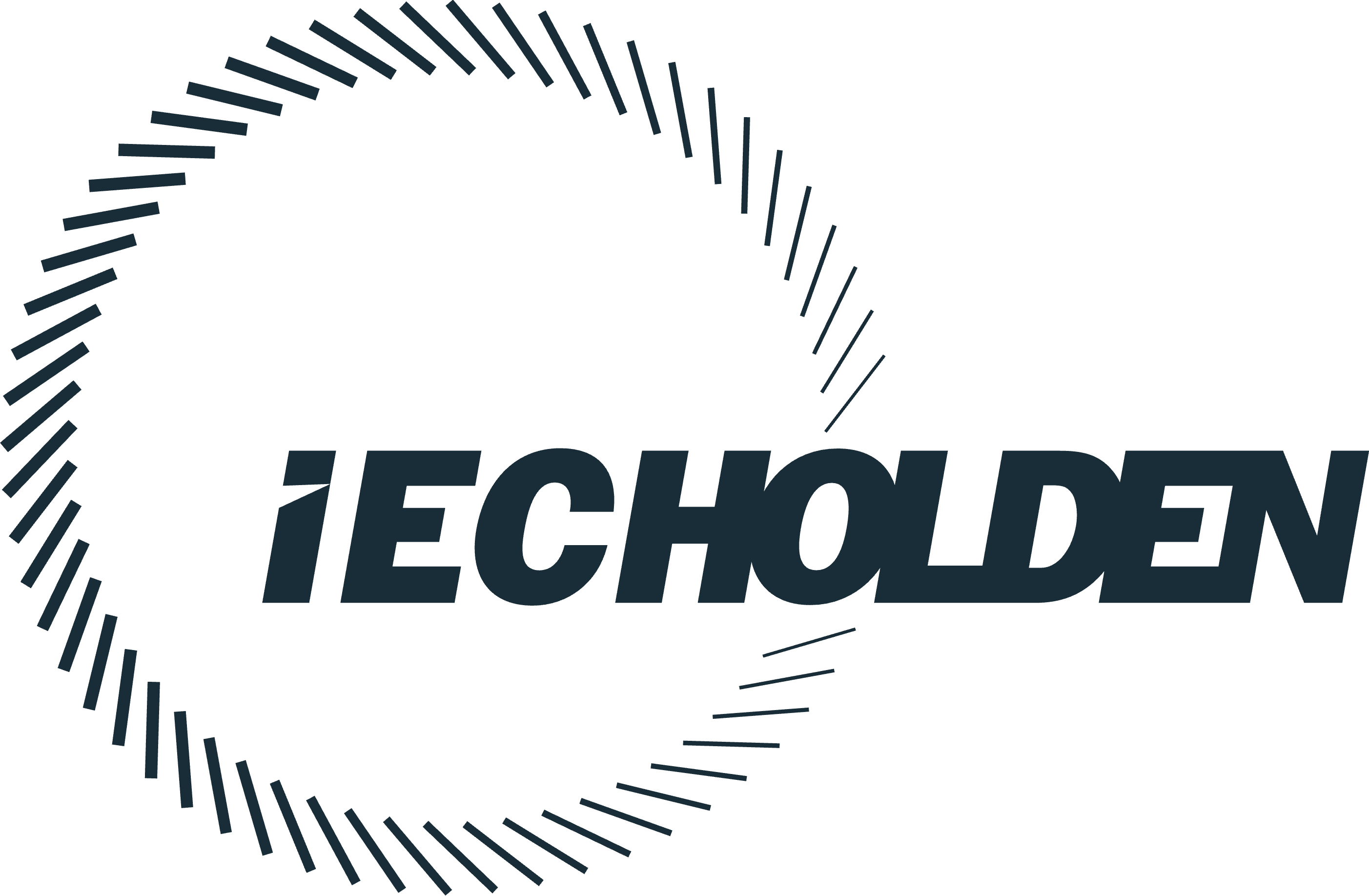 IEC Holden  is hiring for remote Business Development Manager, E- Mobility