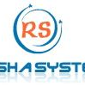 Ragha Systems LLC is hiring for work from home roles