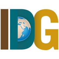 International Development Group is hiring for remote Call for CVs - Development Economics & Finance