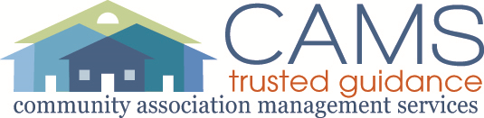 S&S Services Group LLC logo