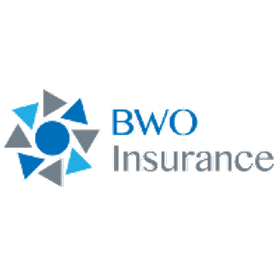 BWO Insurance is hiring for work from home roles