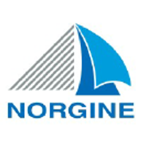 Norgine logo