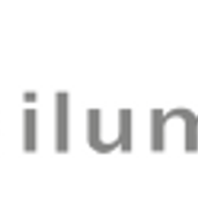 ilum:e informatik AG is hiring for work from home roles