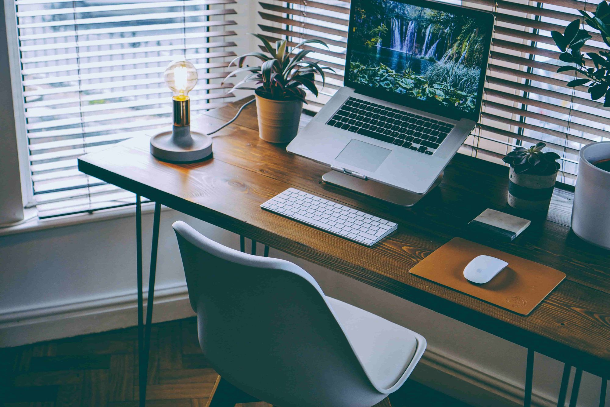 Top 5 Ergonomic Chairs for Working From Home in 2024